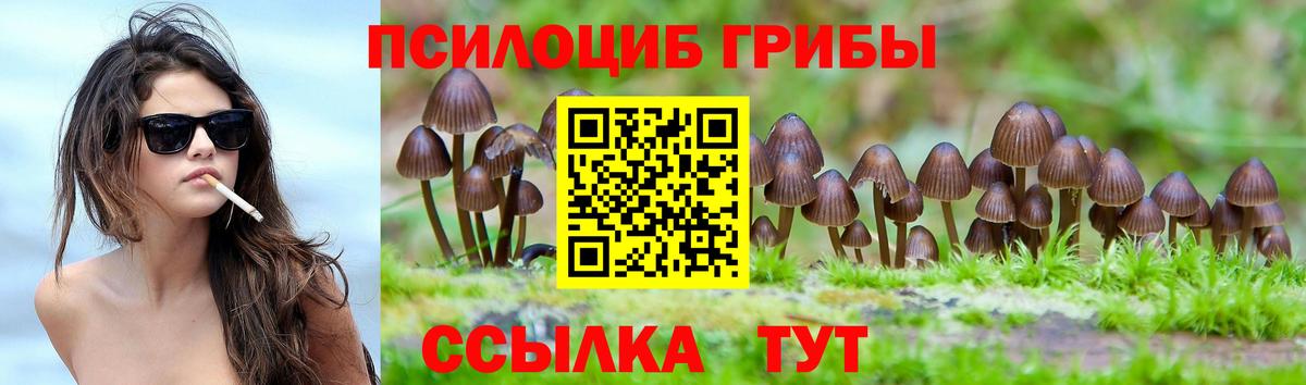 Псилоцибиновые грибы MAGIC MUSHROOMS  Вход с VPN  Лысьва 